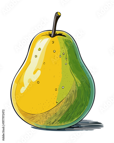 Whole yellow pear with green leaf in hand drawn style for rustic kitchen and cafe decor - Vector Illustration