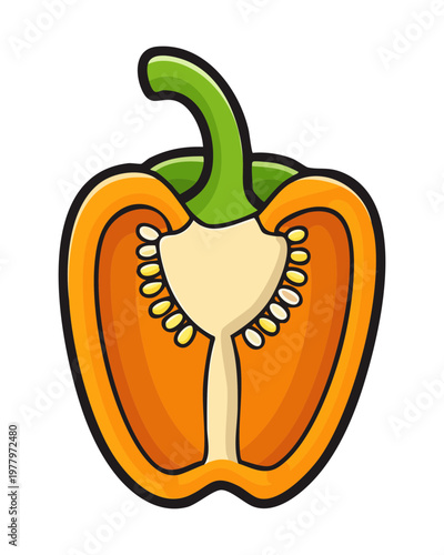 Sliced fig fruit showing pink flesh and tiny seeds for exotic fruit shop and gourmet dessert - Vector Illustration