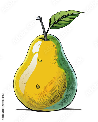 Half of an orange pepper showing internal seeds and structure for healthy vegetable cooking guide - Vector Illustration