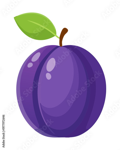 Purple plum with green leaf for seasonal fruit market and organic jam labels - Vector Illustration