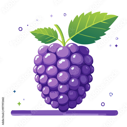 Cluster of purple grapes for vineyard branding and wine festival promotional materials - Vector Illustration
