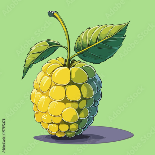 Golden mulberry fruit with leaf for health food blog and organic jam recipes - Vector Illustration