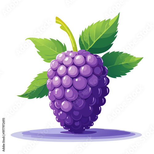 Bunch of ripe purple grapes with leaves for organic fruit juice and snack packaging - Vector Illustration