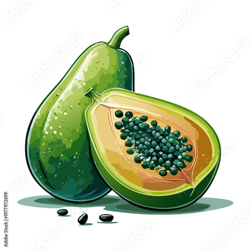 Pair of papaya fruits with one halved showing seeds for tropical smoothie recipes - Vector Illustration