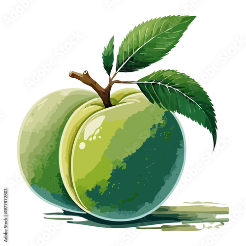 Group of green plums for seasonal harvest festival and organic produce store signage - Vector Illustration