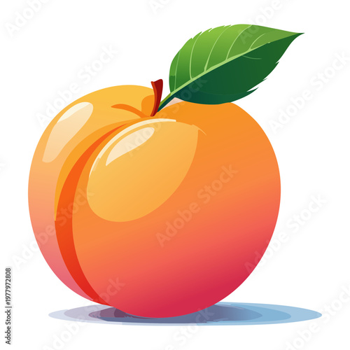 Fresh peach with stem and leaf for organic fruit juice branding and healthy snacks - Vector Illustration