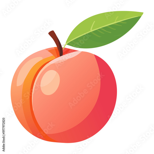 Green plum with leaves for botanical study and organic fruit product label design - Vector Illustration