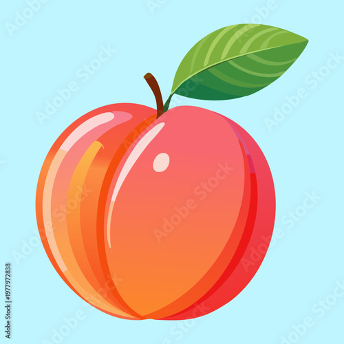 Whole orange peach for seasonal fruit festival and organic produce market promotional flyers - Vector Illustration