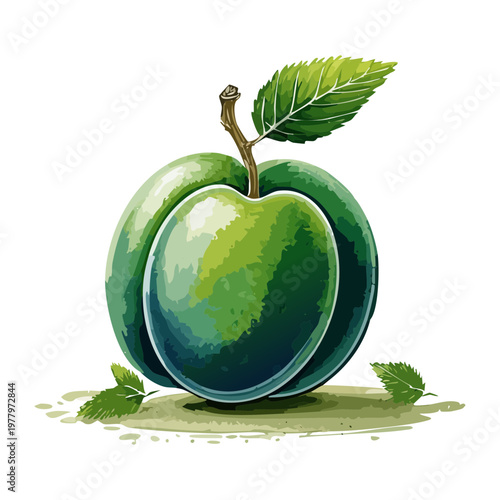 Dark purple plum with green leaf for seasonal fruit recipes and organic jam - Vector Illustration