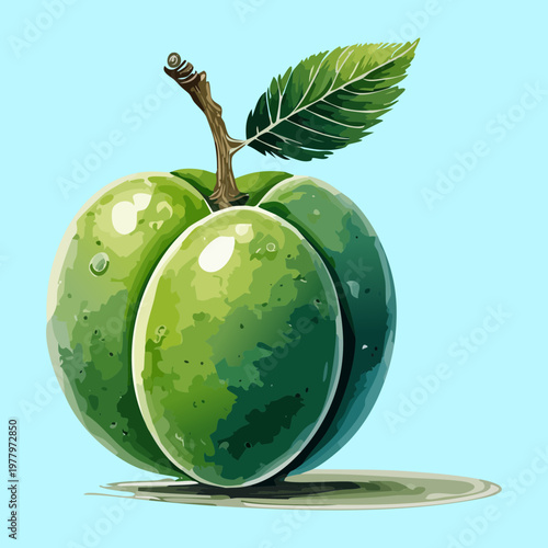 Ripe green plum for fruit market pricing labels and organic food product stickers - Vector Illustration