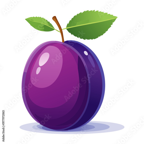 Round purple plum for organic produce store and healthy lifestyle social media graphics - Vector Illustration