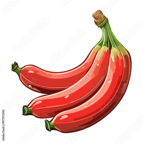 Trio of red bananas with green stem for exotic fruit collection and organic food blog post graphics - Vector Illustration