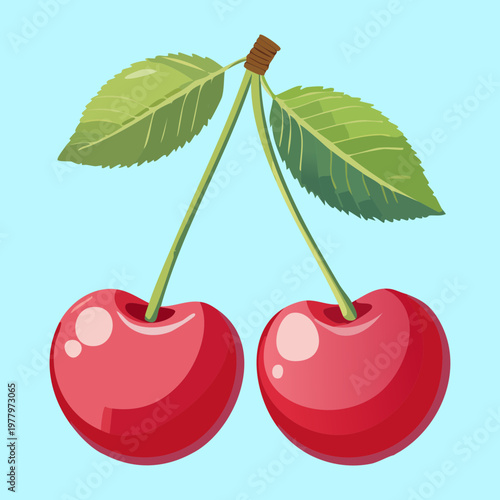 Three red cherries with green leaves for summer fruit festival posters and organic juice product labels - Vector Illustration