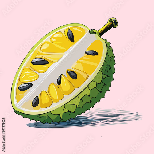Soursop fruit cut in half showing white flesh and black seeds for tropical exotic food design - Vector Illustration