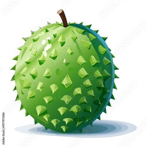 Green soursop fruit with bumpy skin for exotic tropical fruit market and natural herbal medicine design - Vector Illustration