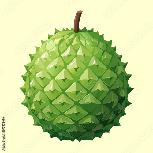 Spiky green durian fruit for tropical fruit collection and healthy organic food illustrations for kitchen decor - Vector Illustration