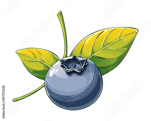 Small blue blueberry with two green leaves for healthy breakfast topping and organic fruit jam labels - Vector Illustration