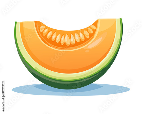Ripe cantaloupe melon slice with orange pulp for healthy summer diet and organic fruit juice labels - Vector Illustration