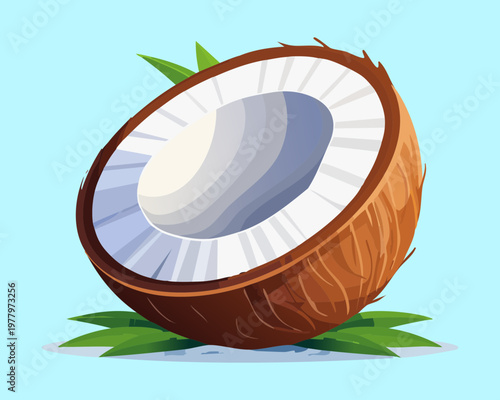 Brown coconut half with white pulp for healthy cooking recipes and organic tropical food product labels - Vector Illustration