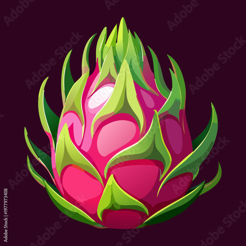 Pink pitaya dragon fruit for tropical theme party decorations and healthy organic fruit juice packaging design - Vector Illustration