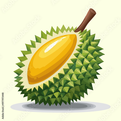 Durian fruit segment with creamy yellow flesh for exotic tropical food market and Asian delicacy design - Vector Illustration