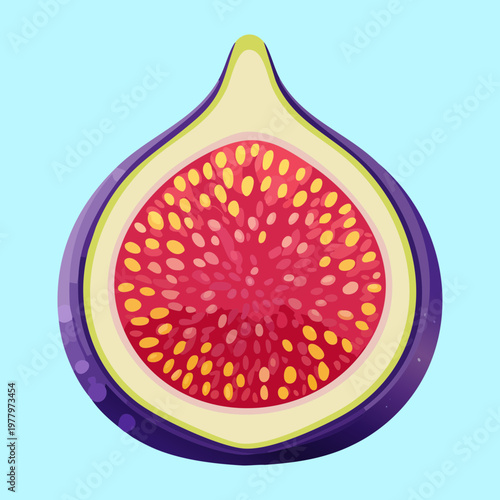 Half cut purple fig fruit for healthy nutrition guides and organic Mediterranean food blog post graphics - Vector Illustration