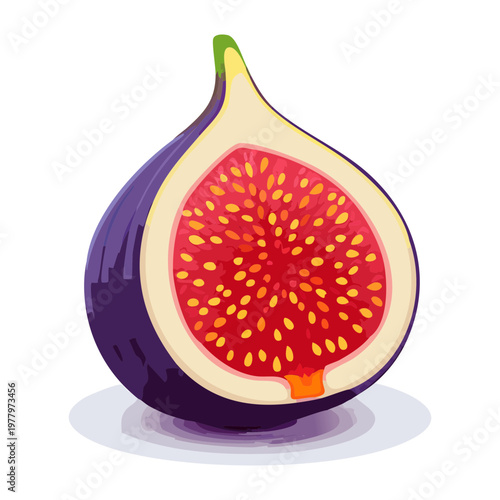Sliced purple fig fruit with red interior for healthy gourmet snacks and organic Mediterranean diet recipes - Vector Illustration