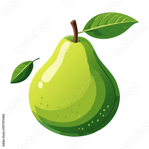 Bright green pear with leaf for healthy fruit snack illustrations and organic orchard farm marketing materials - Vector Illustration