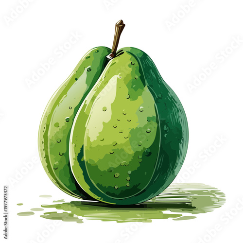 Bumpy green pear for healthy autumn fruit harvest and organic orchard farming themed design projects - Vector Illustration