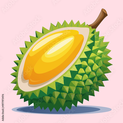 Durian fruit piece with ripe yellow flesh for exotic tropical fruit collection and Asian market branding - Vector Illustration