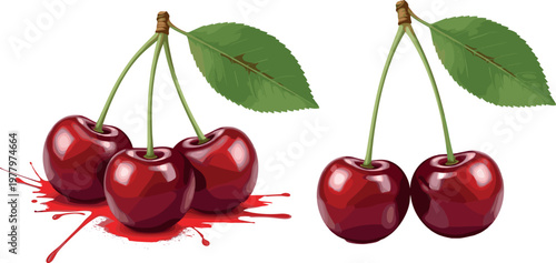 Sweet cherry fruit set with leaves and juice splash vector illustration ripe red cherries isolated on white background