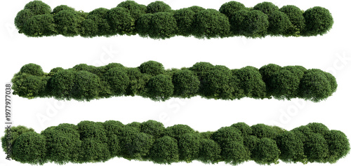 Shrubs and flower on a transparent background