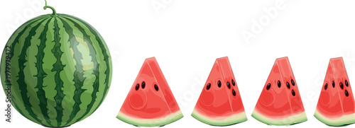 Watermelon whole fruit and slice pieces collection, fresh juicy summer food vector illustration set isolated background