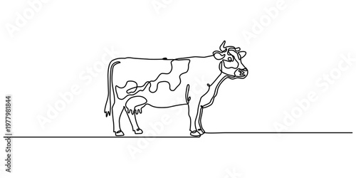 Continuous line drawing Cow, dairy cow, mother cow, calf, line art, vector illustration, farm animal, cattle