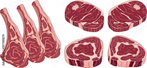 Raw meat cuts collection with steaks and lamb chops, realistic butcher vector set for food, cooking, and restaurant design