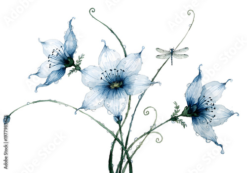 Delicate blue lilies with water droplets and a dragonfly against a dark background