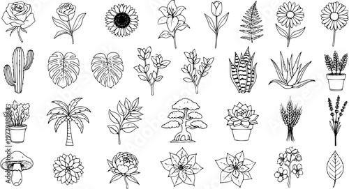 Black  White Botanical Line Art Collection. Hand-drawn Outline Illustrations of Nature's Flowers, Plants, Leaves, Trees, Succulents, and Herbs.