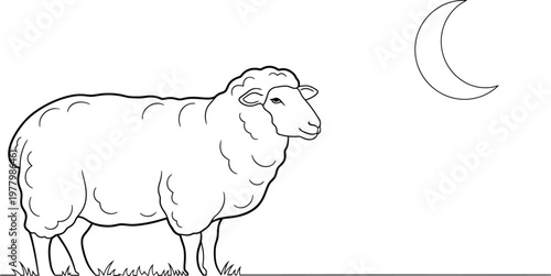Sheep stands peacefully under a crescent moon in this simple line art drawing intended for children to color in.