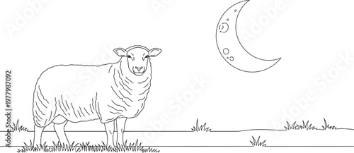Sheep stands peacefully on a grassy field under a glowing crescent moon in this simple line art landscape scene.