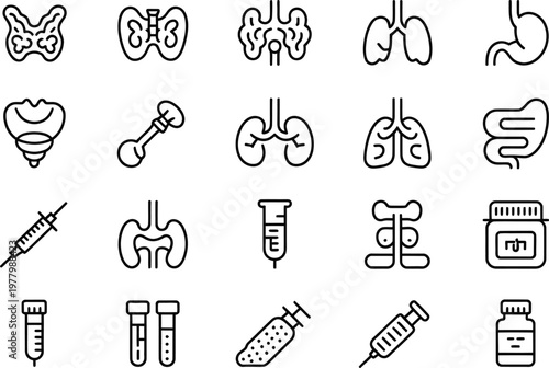 Medical including kidneys lungs stomach intestines bone syringe test tubes medical kidneys