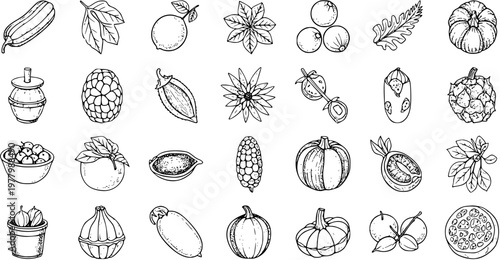 Food and Agriculture Black  White Line Art Icons Set: Hand-drawn Sketch Doodles of Fresh Fruits, Vegetables, and Plant Elements