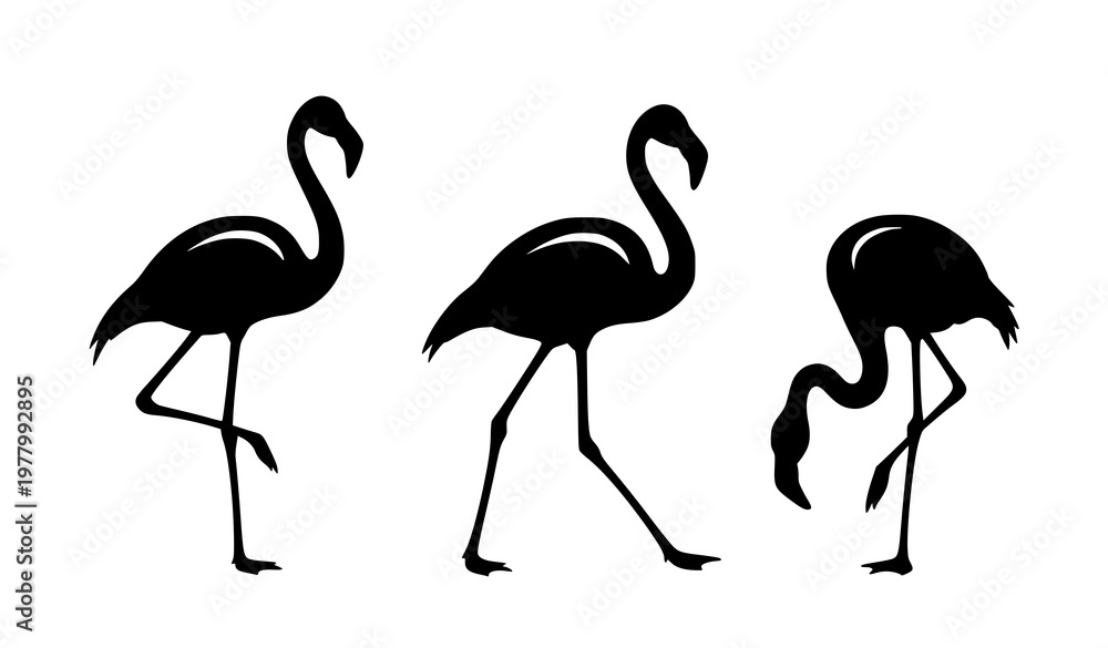 Fototapeta premium Flamingo silhouette set vector with multiple poses black tropical bird minimal collection
