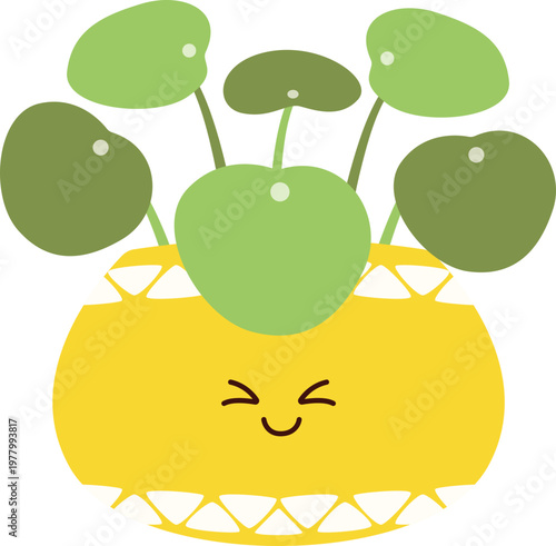 Chibi Pilea Chinese Money Plant in Yellow Pot