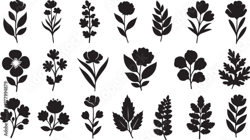 Collection of black floral silhouettes on white background illustration