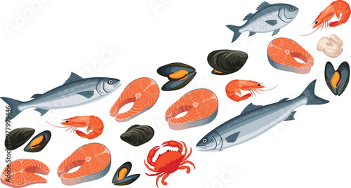 Fresh seafood collection with fish shrimp mussels crab and salmon slices detailed vector illustration set isolated on white background