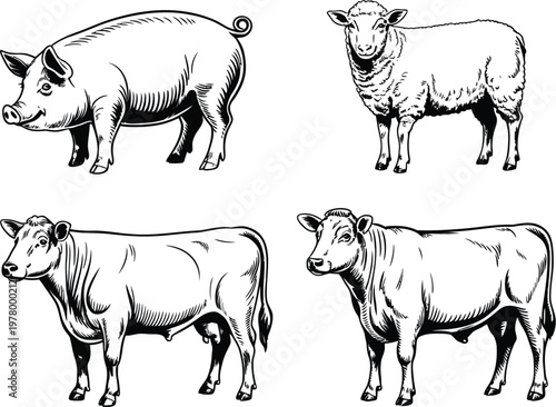 Farm Domestic Animals Vector Set, Hand-Drawn Engraving Style Illustrations of Lamb, Pig, Bull, Cow, and Calf for Agriculture, Livestock, and Rural Farm Design