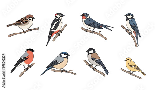 Minimalist hand-drawn birds vector set perched on branches in natural habitat