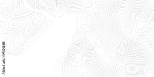 Abstract minimal The pattern discovery vector topo map creative discovery White wave grid stripe line map topography. vector geographic contour mounted map background.