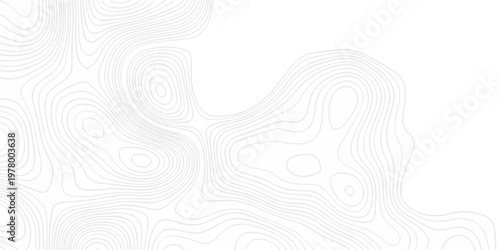 Abstract minimal The pattern discovery vector topo map creative discovery White wave grid stripe line map topography. vector geographic contour mounted map background.