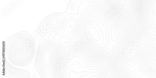 Abstract minimal The pattern discovery vector topo map creative discovery White wave grid stripe line map topography. vector geographic contour mounted map background.